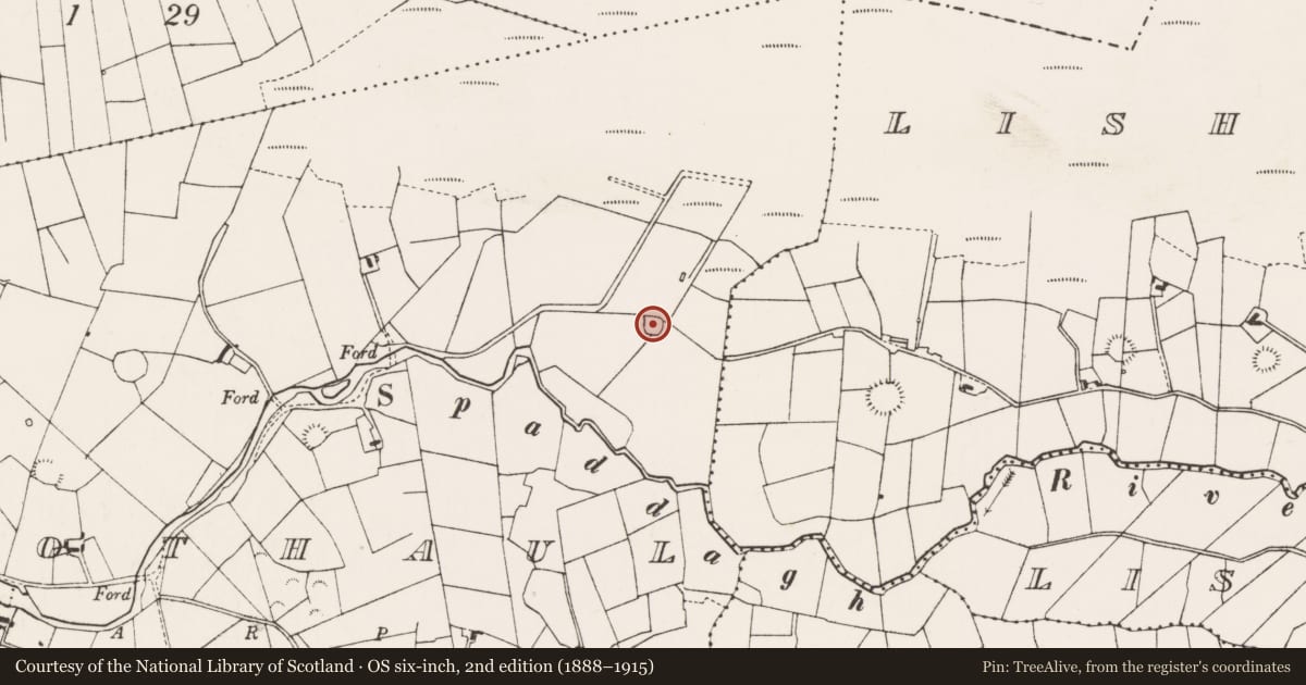 Ordnance Survey six-inch map, 2nd edition (1888–1915) covering the location of Ringfort - rath, Bothaul, County Mayo, with a pin at the register's coordinates