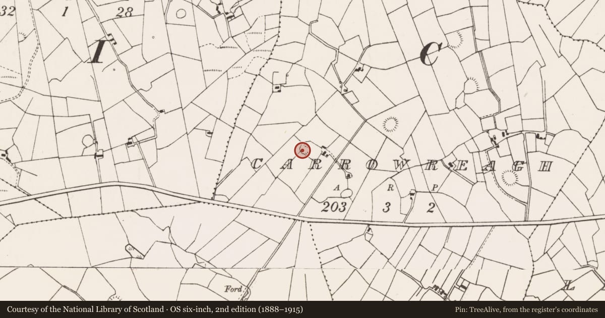 Ordnance Survey six-inch map, 2nd edition (1888–1915) covering the location of Ringfort - rath, Carrowreagh (Gallen By., Meelick. Par.), County Mayo, with a pin at the register's coordinates