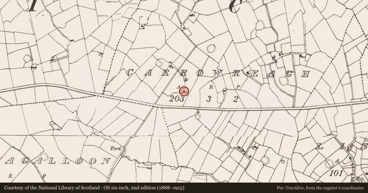 Ordnance Survey six-inch map, 2nd edition (1888–1915) covering the location of Ringfort - rath, Carrowreagh (Gallen By., Meelick. Par.), County Mayo, with a pin at the register's coordinates