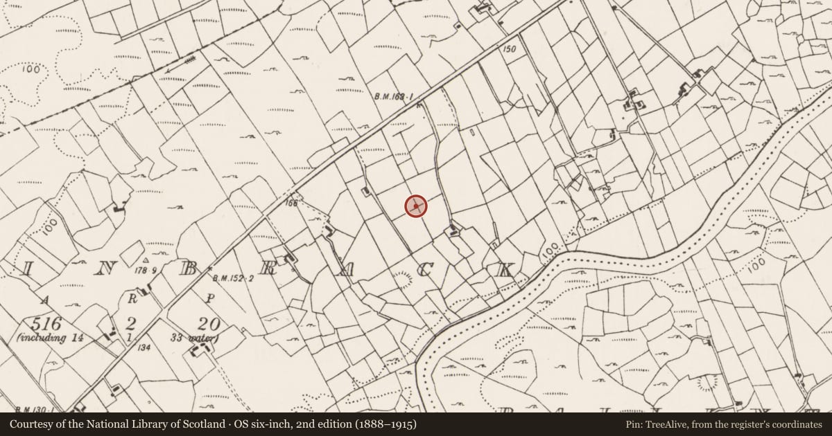 Ordnance Survey six-inch map, 2nd edition (1888–1915) covering the location of Standing stone, Rinbrack, County Mayo, with a pin at the register's coordinates