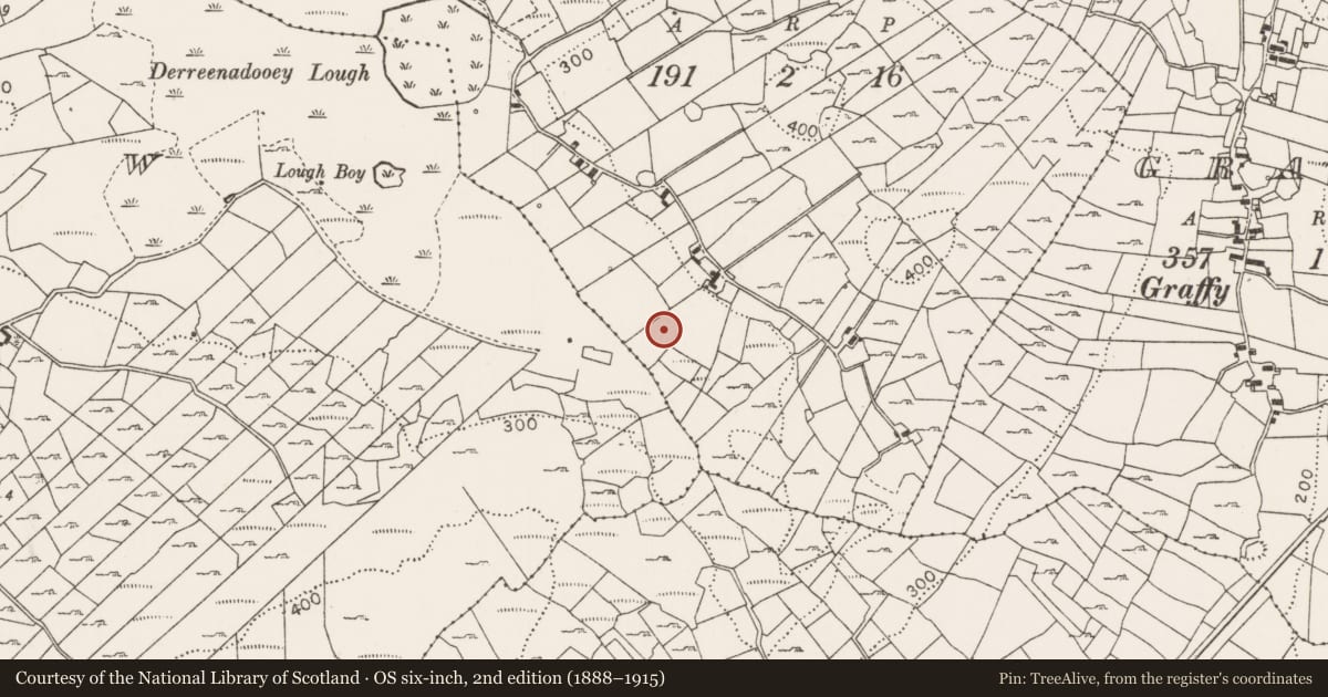 Ordnance Survey six-inch map, 2nd edition (1888–1915) covering the location of Fulacht fia, Callow, County Mayo, with a pin at the register's coordinates