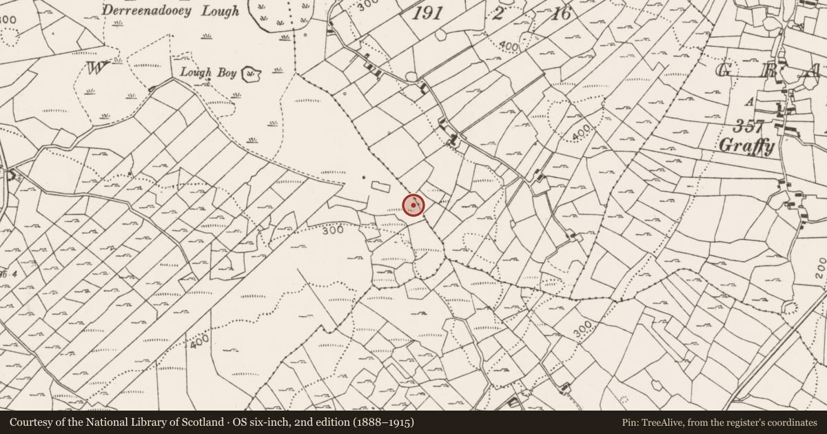 Ordnance Survey six-inch map, 2nd edition (1888–1915) covering the location of Fulacht fia, Coolcashla, County Mayo, with a pin at the register's coordinates
