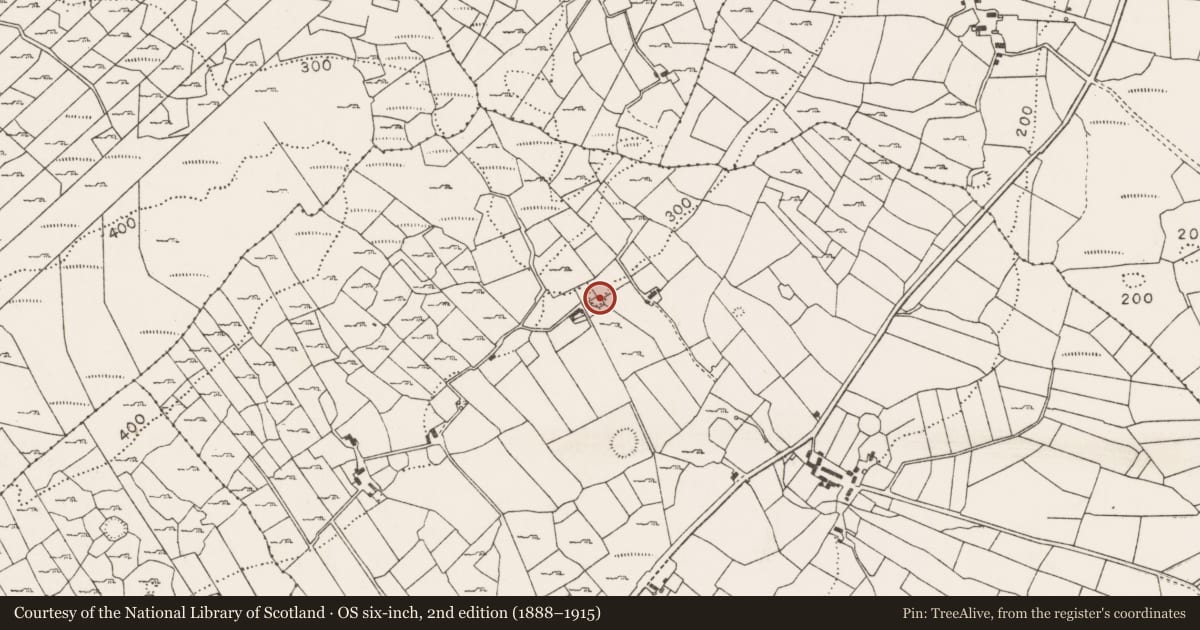 Ordnance Survey six-inch map, 2nd edition (1888–1915) covering the location of Ringfort - unclassified, Cuildoo, County Mayo, with a pin at the register's coordinates