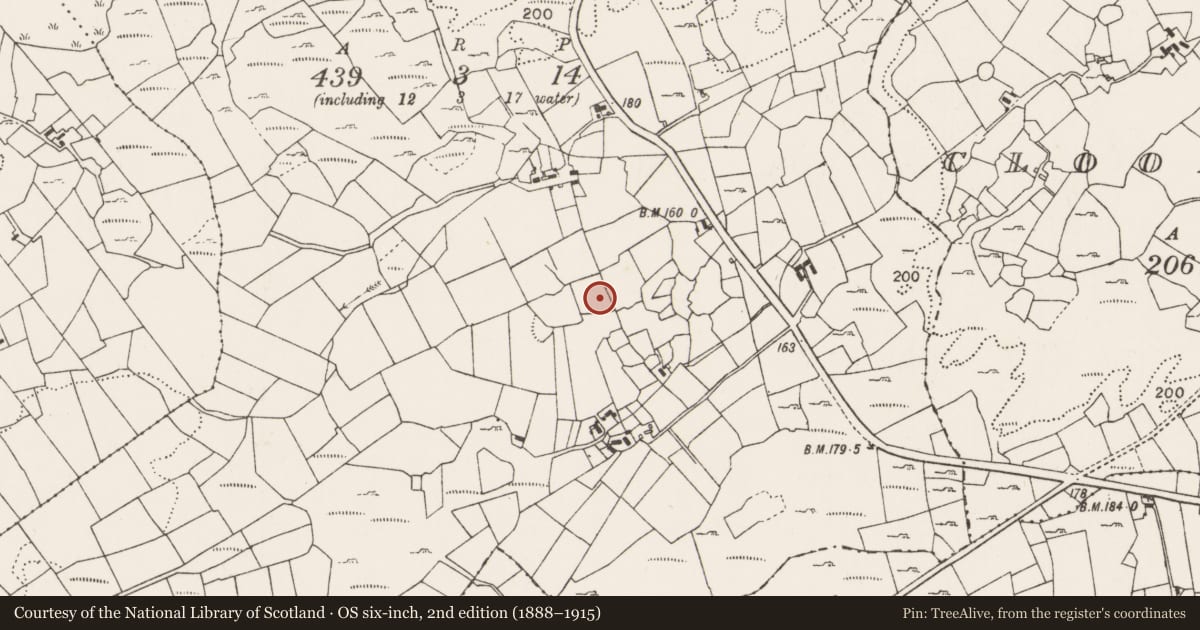 Ordnance Survey six-inch map, 2nd edition (1888–1915) covering the location of Ringfort - cashel, Lismoran, County Mayo, with a pin at the register's coordinates