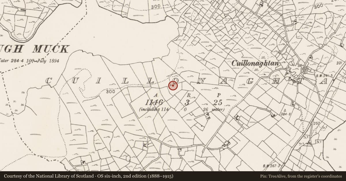 Ordnance Survey six-inch map, 2nd edition (1888–1915) covering the location of Fulacht fia, Cuillonaghtan, County Mayo, with a pin at the register's coordinates