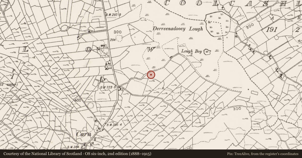 Ordnance Survey six-inch map, 2nd edition (1888–1915) covering the location of Burnt mound, Callow, County Mayo, with a pin at the register's coordinates