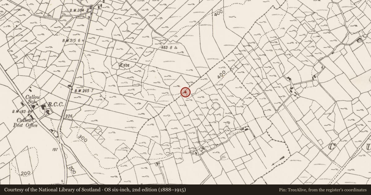 Ordnance Survey six-inch map, 2nd edition (1888–1915) covering the location of Burnt mound, Lismoran, County Mayo, with a pin at the register's coordinates