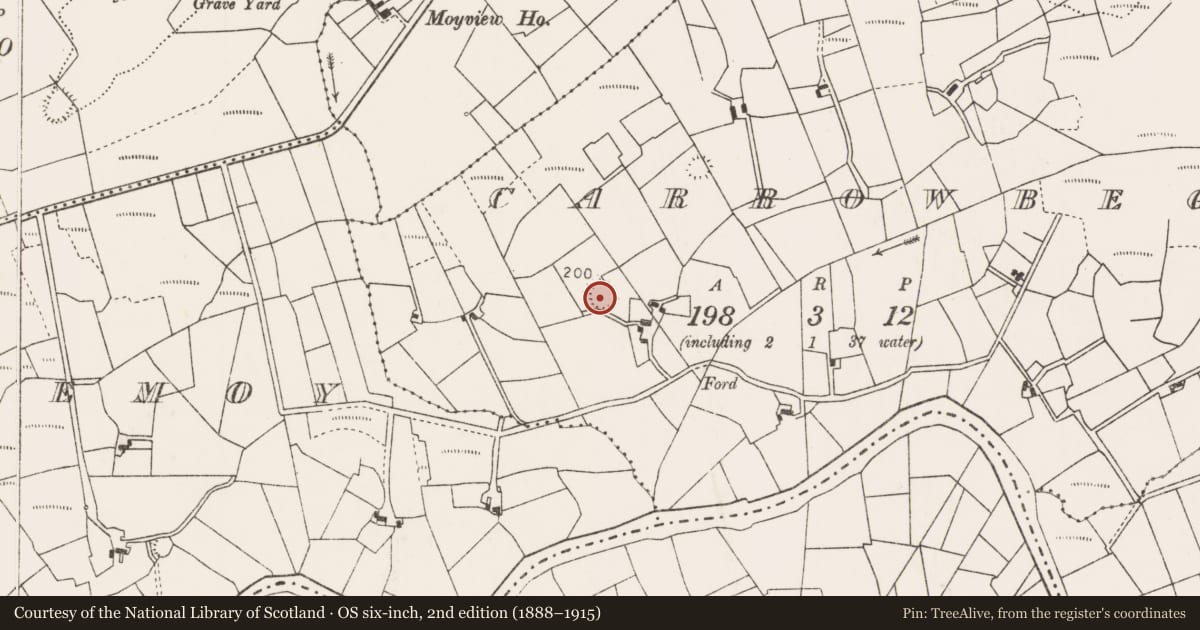 Ordnance Survey six-inch map, 2nd edition (1888–1915) covering the location of Ringfort - rath, Carrowbeg (Gallen By., Killasser Par.), County Mayo, with a pin at the register's coordinates