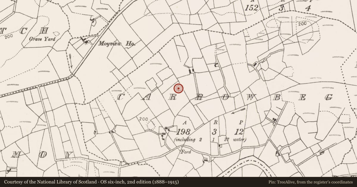 Ordnance Survey six-inch map, 2nd edition (1888–1915) covering the location of Ringfort - rath, Carrowbeg (Gallen By., Killasser Par.), County Mayo, with a pin at the register's coordinates