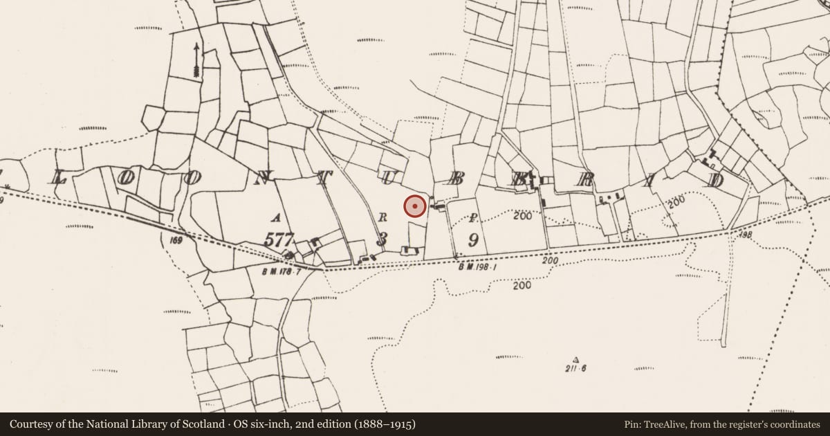Ordnance Survey six-inch map, 2nd edition (1888–1915) covering the location of Children's burial ground, Cloontubbrid, County Mayo, with a pin at the register's coordinates