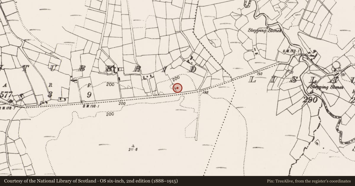 Ordnance Survey six-inch map, 2nd edition (1888–1915) covering the location of Souterrain, Cloontubbrid, County Mayo, with a pin at the register's coordinates