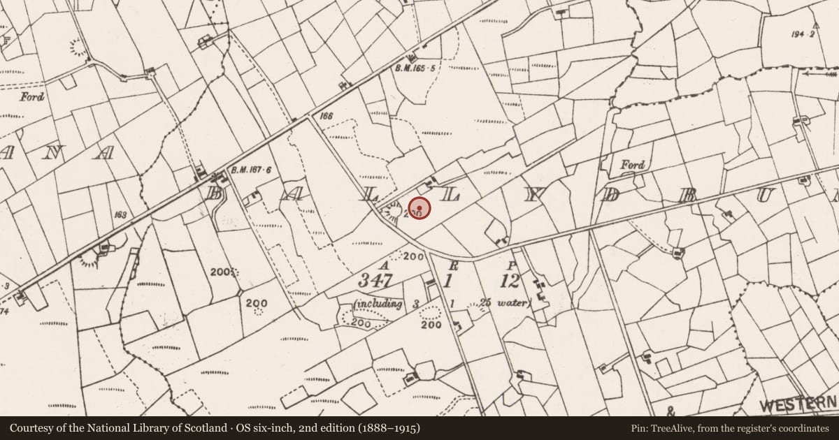 Ordnance Survey six-inch map, 2nd edition (1888–1915) covering the location of Enclosure, Ballydrum, County Mayo, with a pin at the register's coordinates