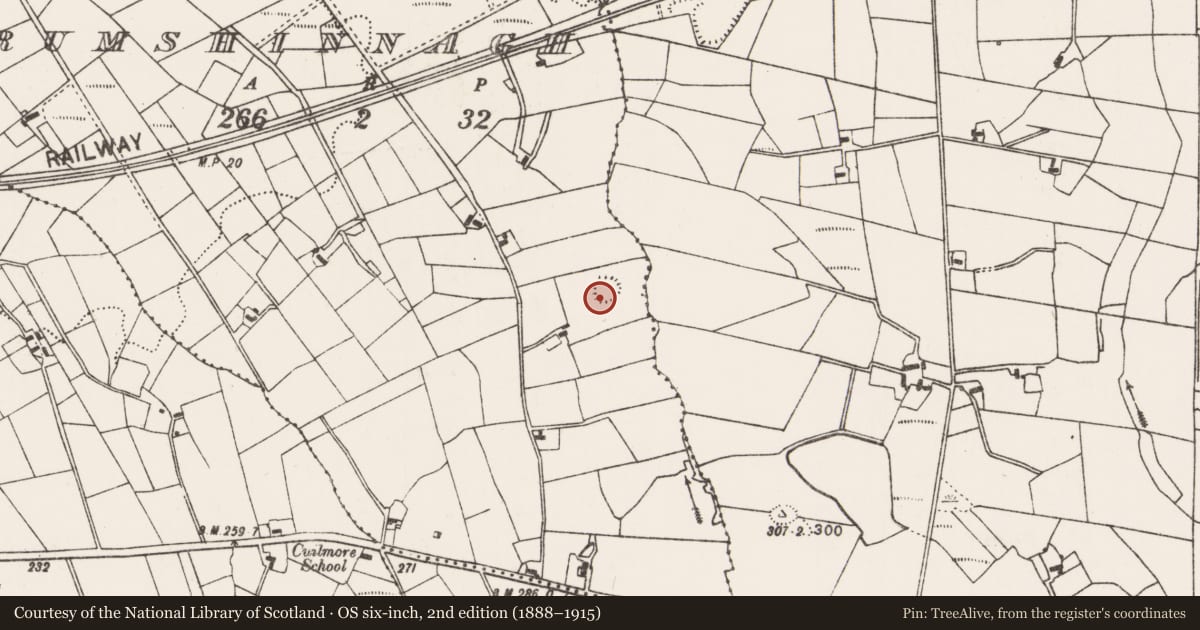 Ordnance Survey six-inch map, 2nd edition (1888–1915) covering the location of Ringfort - rath, Drumshinnagh, County Mayo, with a pin at the register's coordinates