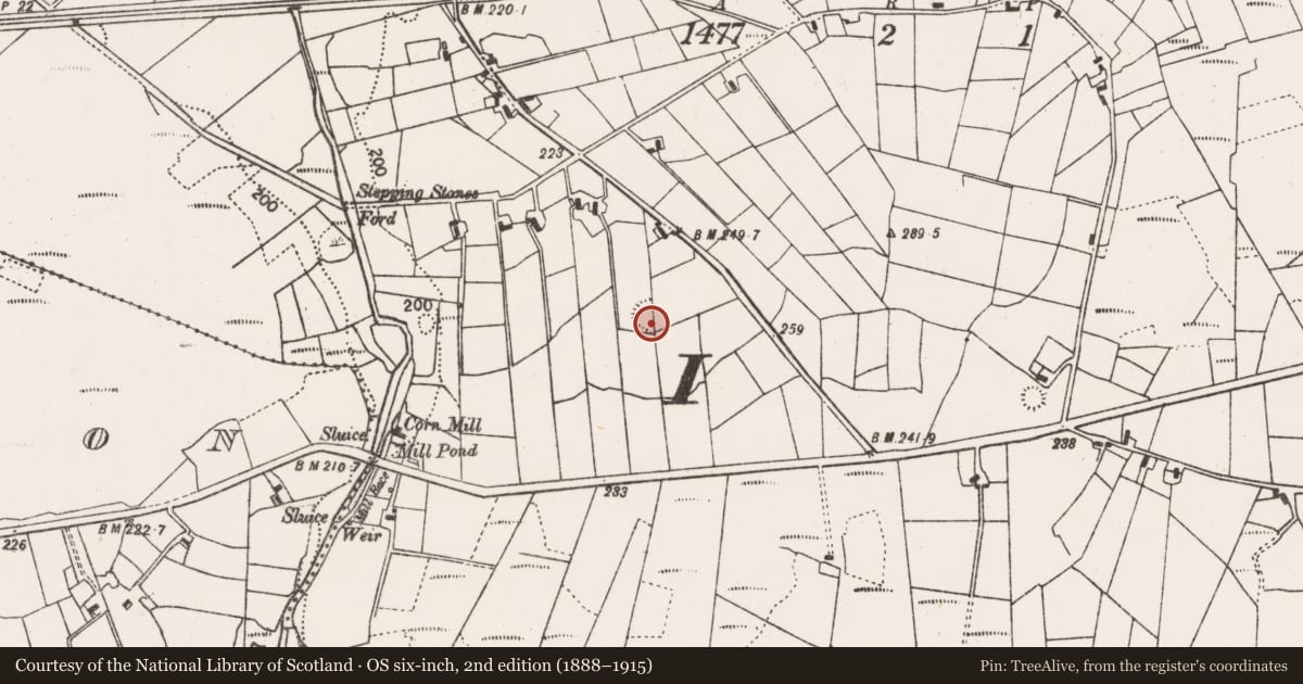 Ordnance Survey six-inch map, 2nd edition (1888–1915) covering the location of Ringfort - rath, Sonnagh, County Mayo, with a pin at the register's coordinates