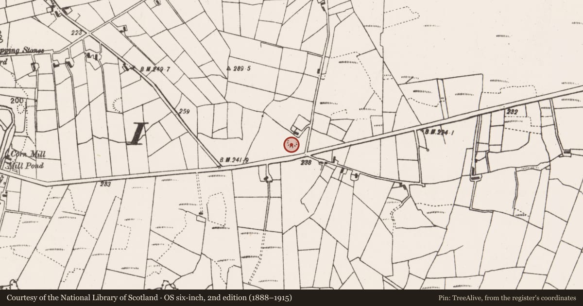 Ordnance Survey six-inch map, 2nd edition (1888–1915) covering the location of Ringfort - rath, Sonnagh, County Mayo, with a pin at the register's coordinates