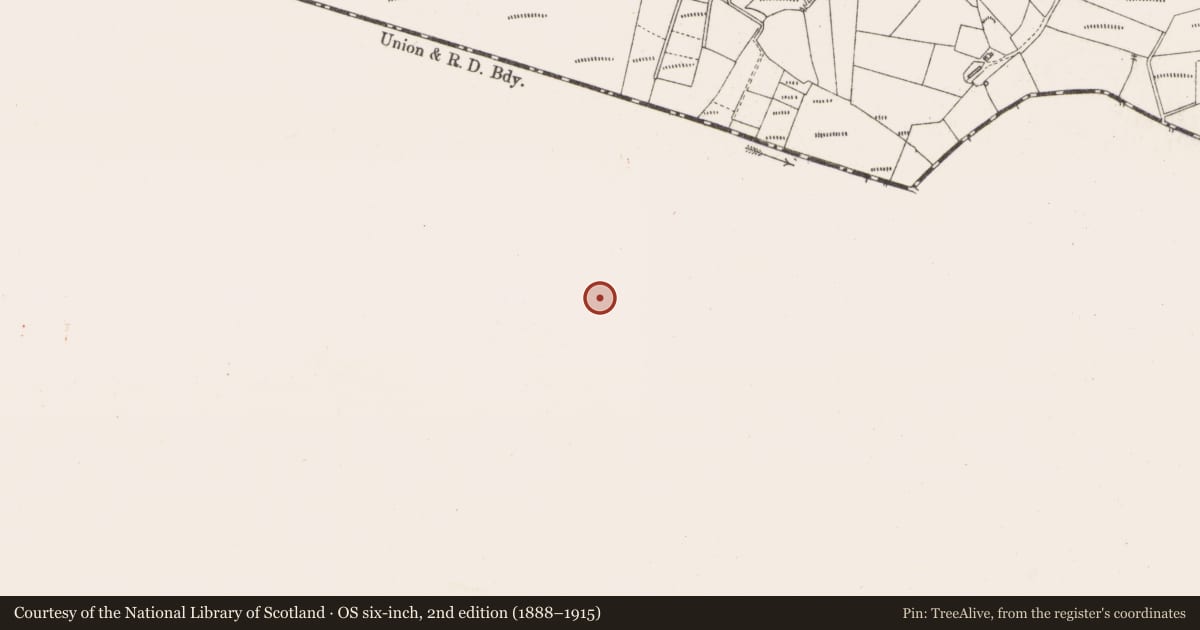Ordnance Survey six-inch map, 2nd edition (1888–1915) covering the location of Enclosure, Sonnagh, County Mayo, with a pin at the register's coordinates