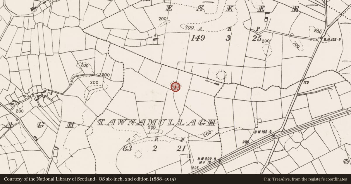 Ordnance Survey six-inch map, 2nd edition (1888–1915) covering the location of Ringfort - rath, Tawnamullagh, County Mayo, with a pin at the register's coordinates