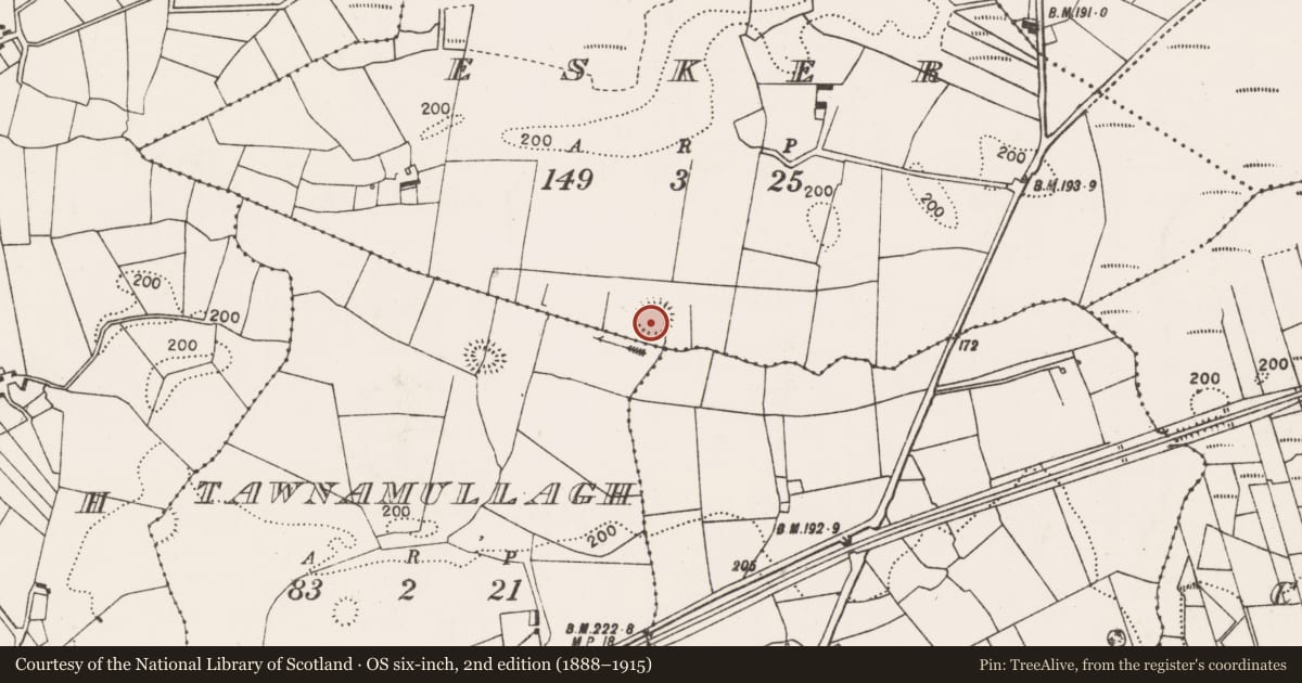 Ordnance Survey six-inch map, 2nd edition (1888–1915) covering the location of Ringfort - rath, Esker (Gallen By., Kilconduff Par.), County Mayo, with a pin at the register's coordinates