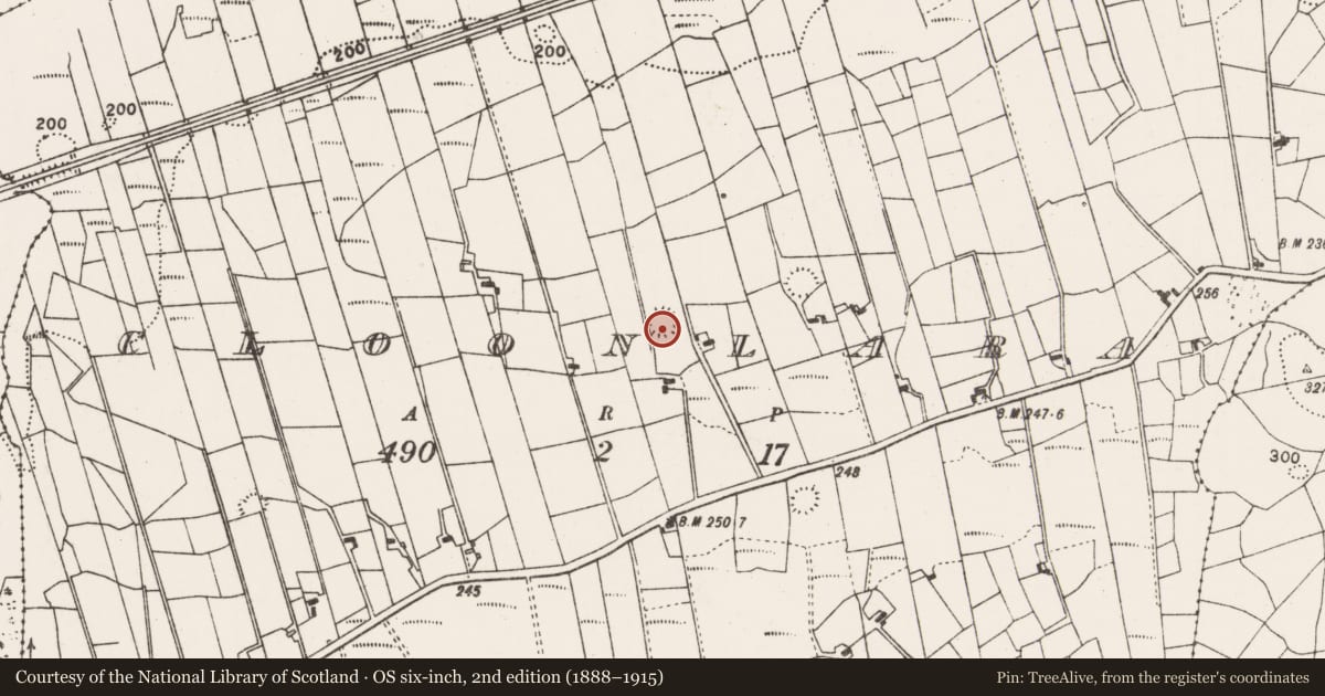 Ordnance Survey six-inch map, 2nd edition (1888–1915) covering the location of Ringfort - rath, Cloonlara, County Mayo, with a pin at the register's coordinates