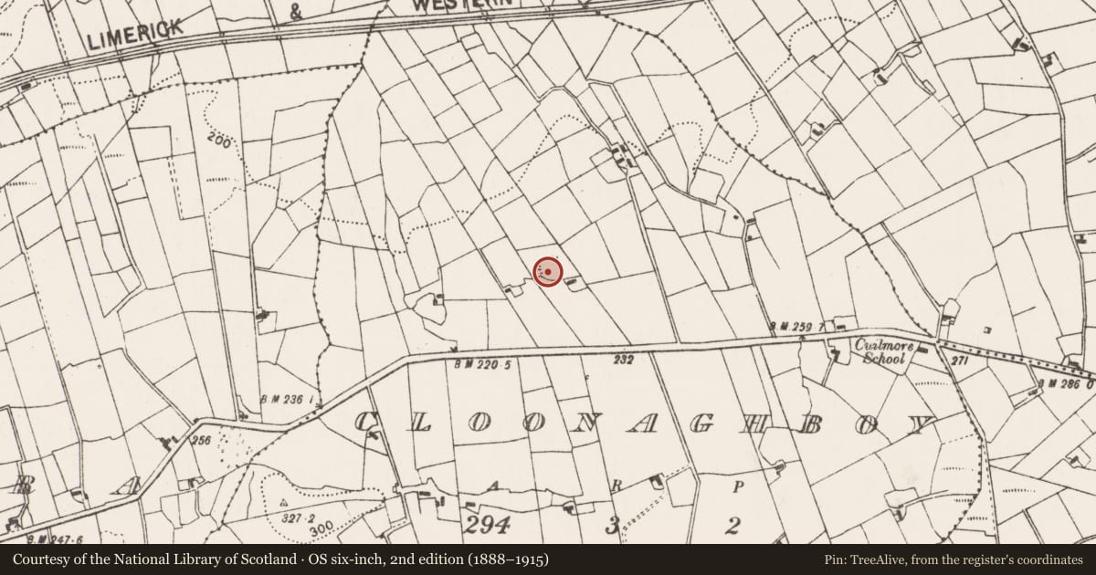 Ordnance Survey six-inch map, 2nd edition (1888–1915) covering the location of Ringfort - rath, Cloonaghboy, County Mayo, with a pin at the register's coordinates