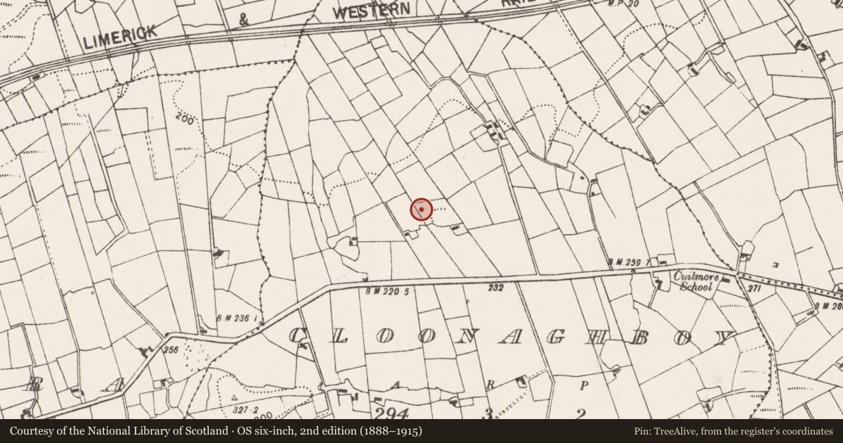 Ordnance Survey six-inch map, 2nd edition (1888–1915) covering the location of Souterrain, Cloonaghboy, County Mayo, with a pin at the register's coordinates