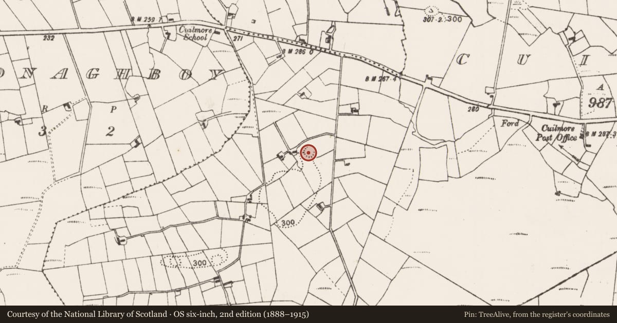 Ordnance Survey six-inch map, 2nd edition (1888–1915) covering the location of Ringfort - rath, Cuilmore, County Mayo, with a pin at the register's coordinates