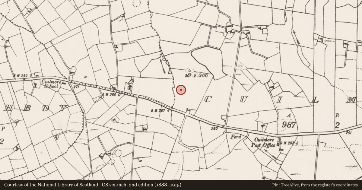 Ordnance Survey six-inch map, 2nd edition (1888–1915) covering the location of Enclosure, Cuilmore, County Mayo, with a pin at the register's coordinates