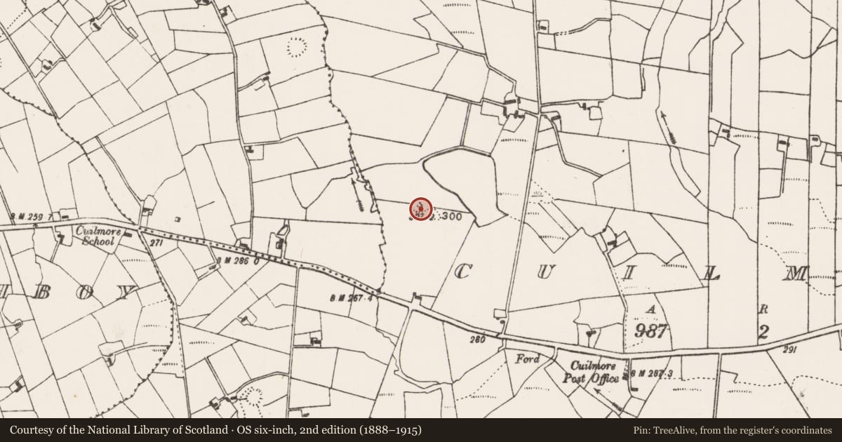 Ordnance Survey six-inch map, 2nd edition (1888–1915) covering the location of Ringfort - rath, Cuilmore, County Mayo, with a pin at the register's coordinates
