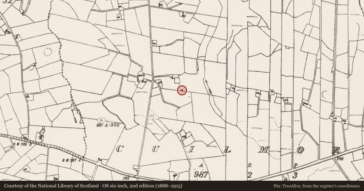 Ordnance Survey six-inch map, 2nd edition (1888–1915) covering the location of Ringfort - rath, Cuilmore, County Mayo, with a pin at the register's coordinates