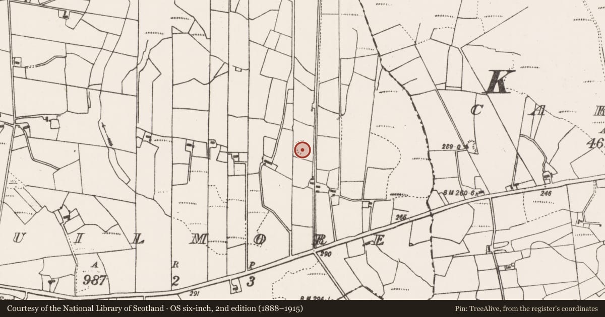 Ordnance Survey six-inch map, 2nd edition (1888–1915) covering the location of Ringfort - rath, Cuilmore, County Mayo, with a pin at the register's coordinates