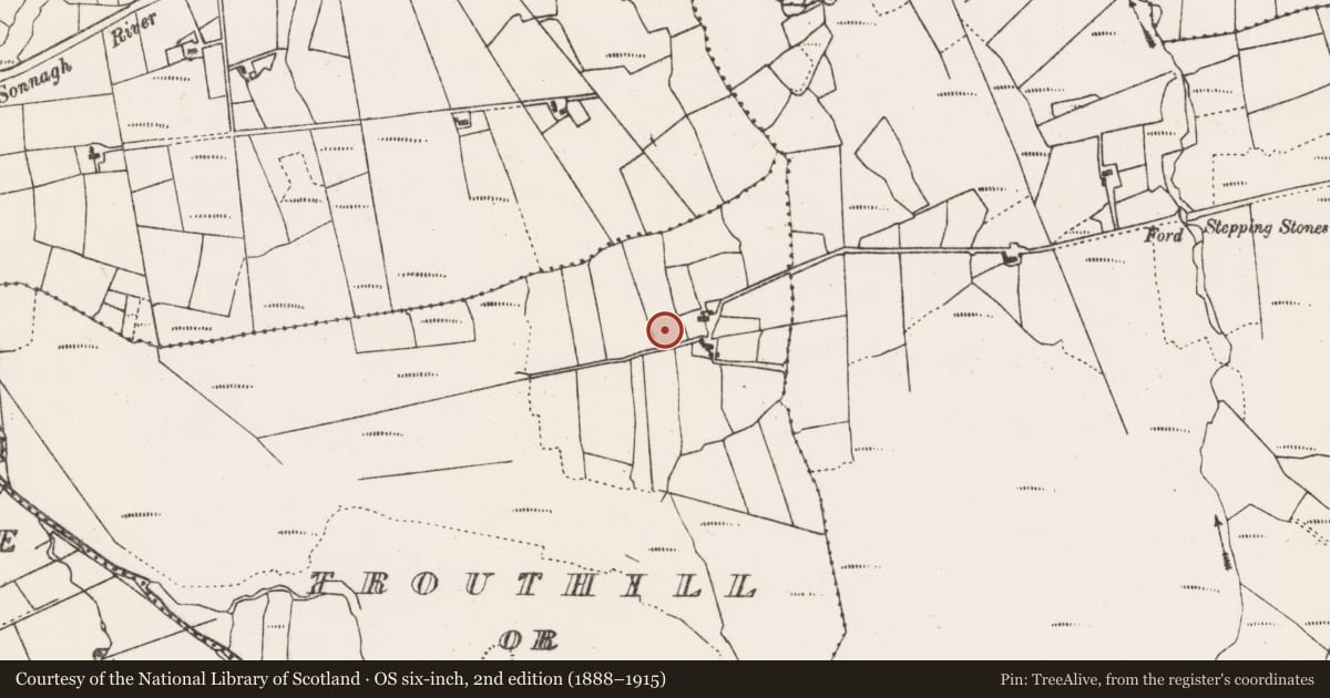 Ordnance Survey six-inch map, 2nd edition (1888–1915) covering the location of Enclosure, Trouthill Or Knockbrack, County Mayo, with a pin at the register's coordinates