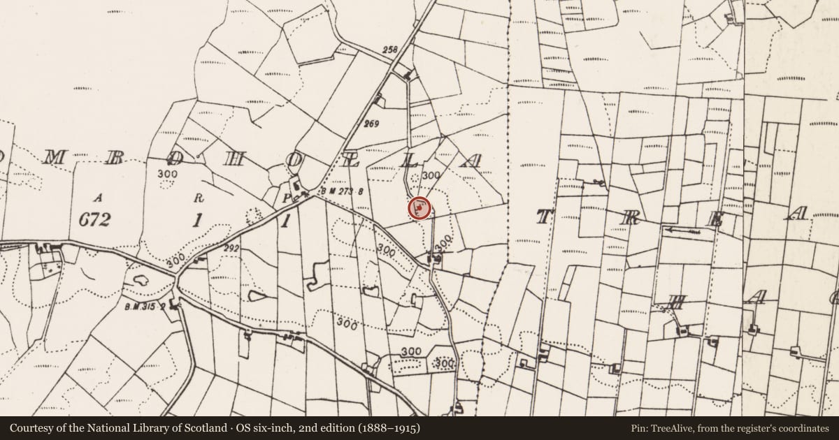 Ordnance Survey six-inch map, 2nd edition (1888–1915) covering the location of Ringfort - rath, Tomboholla, County Mayo, with a pin at the register's coordinates