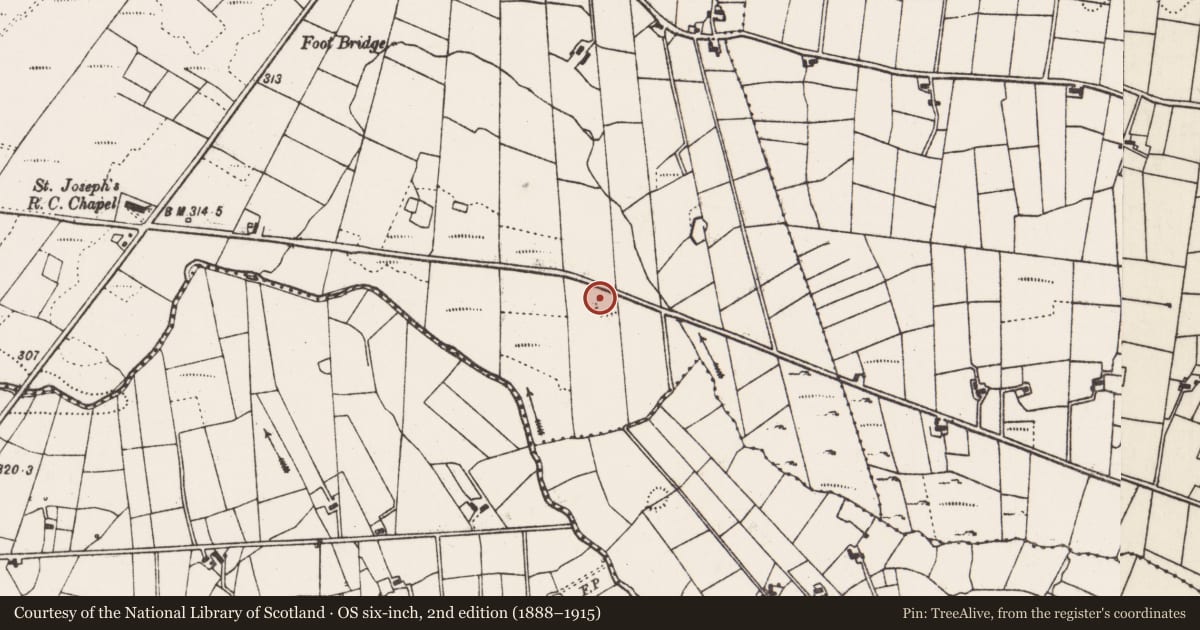 Ordnance Survey six-inch map, 2nd edition (1888–1915) covering the location of Ringfort - rath, Tomboholla, County Mayo, with a pin at the register's coordinates