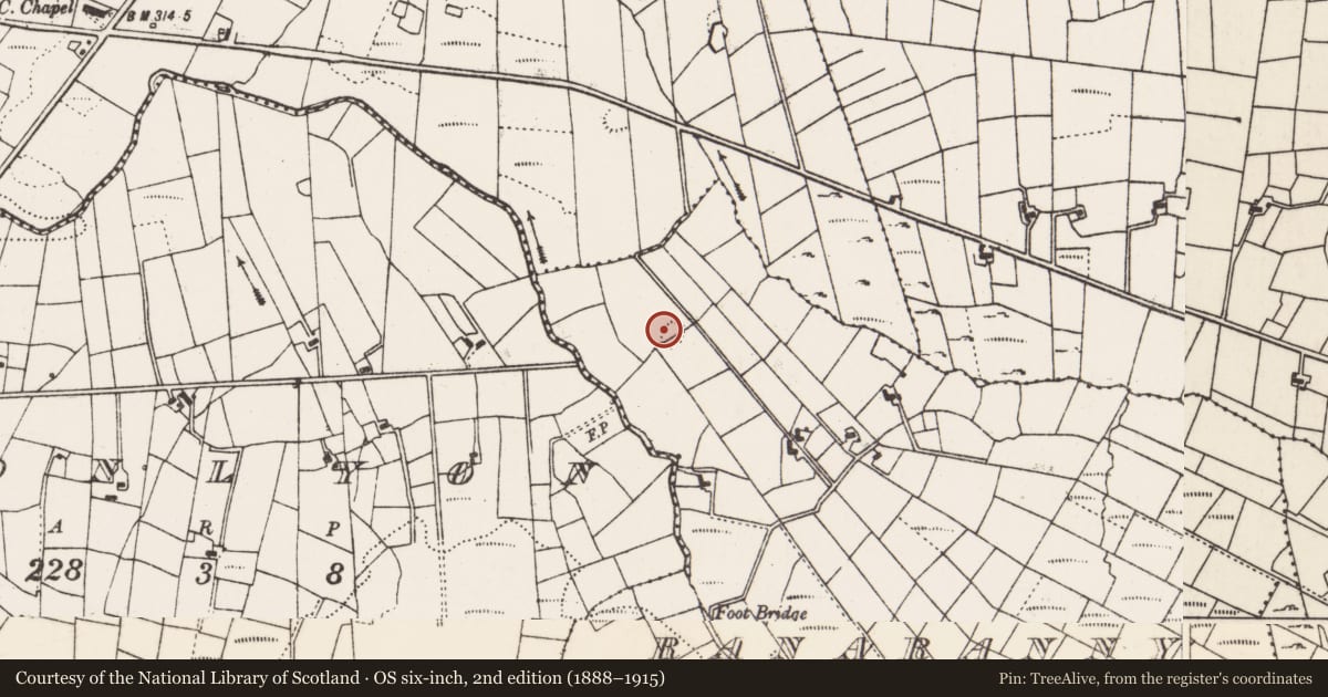 Ordnance Survey six-inch map, 2nd edition (1888–1915) covering the location of Ringfort - rath, Ranaranny, County Mayo, with a pin at the register's coordinates
