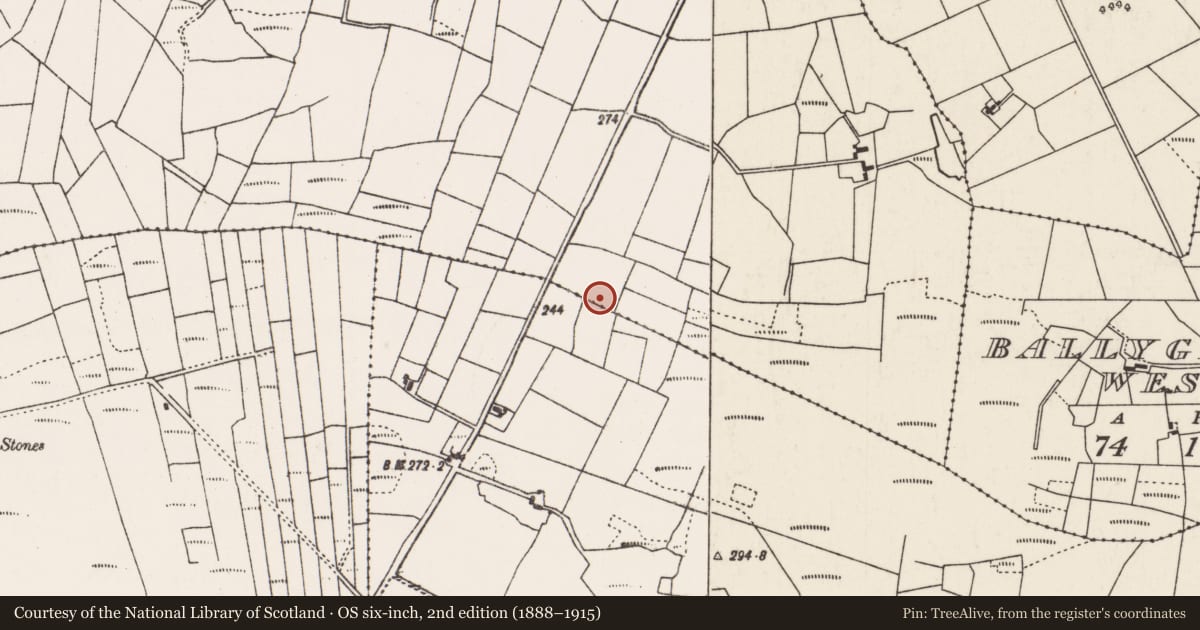Ordnance Survey six-inch map, 2nd edition (1888–1915) covering the location of Fulacht fia, Sonnagh, County Mayo, with a pin at the register's coordinates