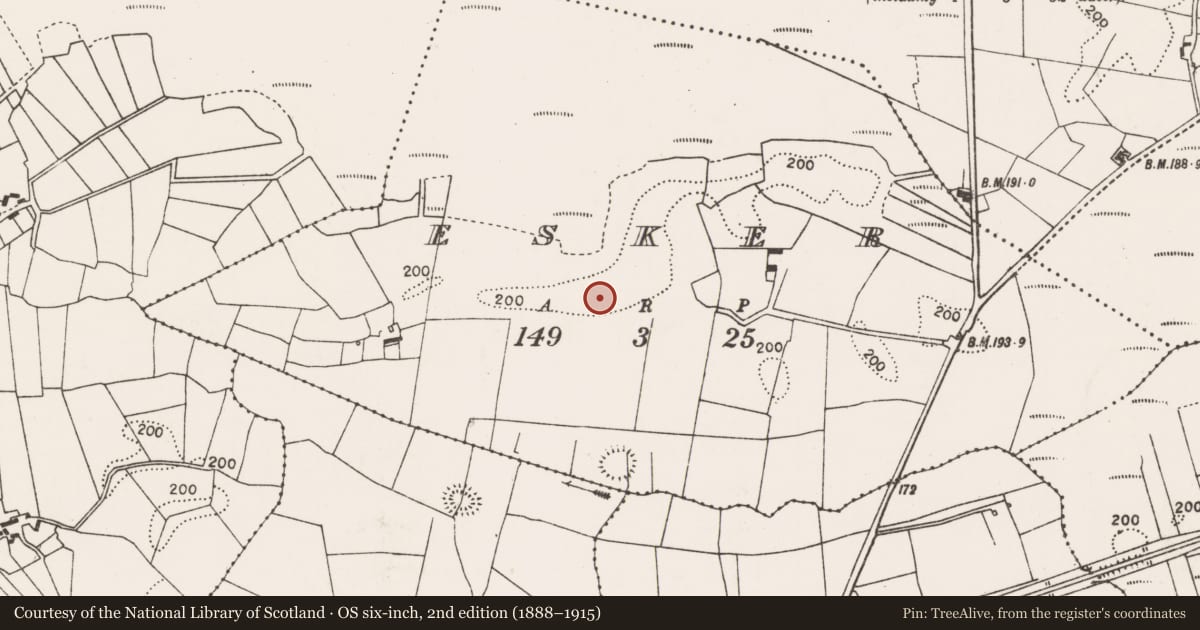 Ordnance Survey six-inch map, 2nd edition (1888–1915) covering the location of Ringfort - rath, Esker (Gallen By., Kilconduff Par.), County Mayo, with a pin at the register's coordinates