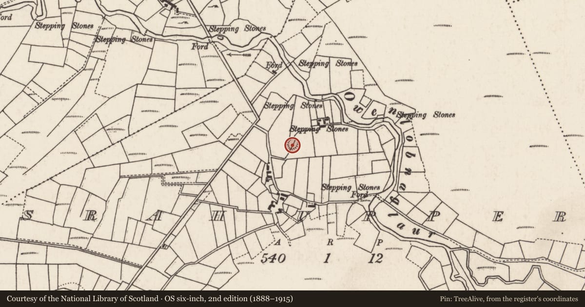 Ordnance Survey six-inch map, 2nd edition (1888–1915) covering the location of Ringfort - rath, Srah Upper, County Mayo, with a pin at the register's coordinates