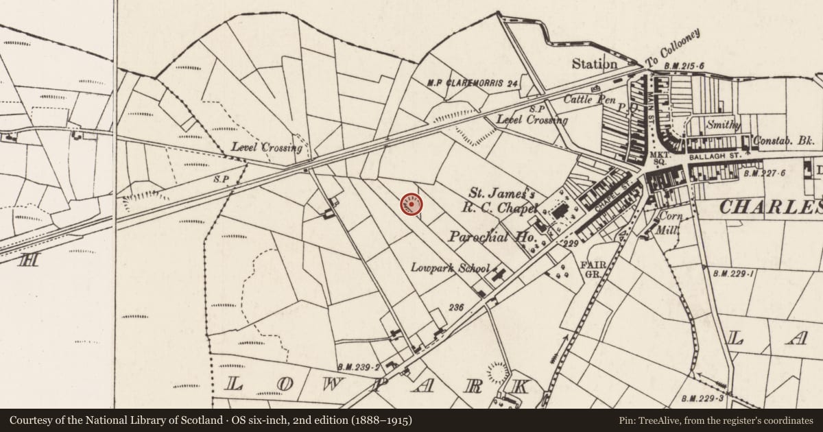 Ordnance Survey six-inch map, 2nd edition (1888–1915) covering the location of Ringfort - rath, Lowpark, County Mayo, with a pin at the register's coordinates