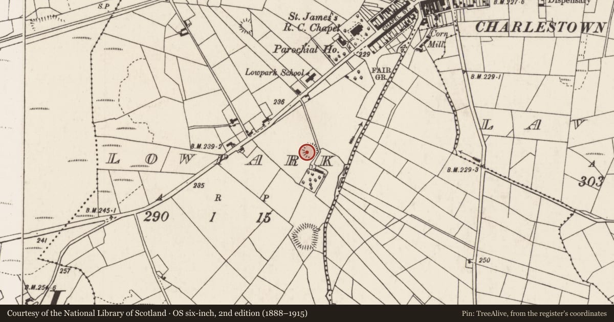 Ordnance Survey six-inch map, 2nd edition (1888–1915) covering the location of Ringfort - rath, Lowpark, County Mayo, with a pin at the register's coordinates