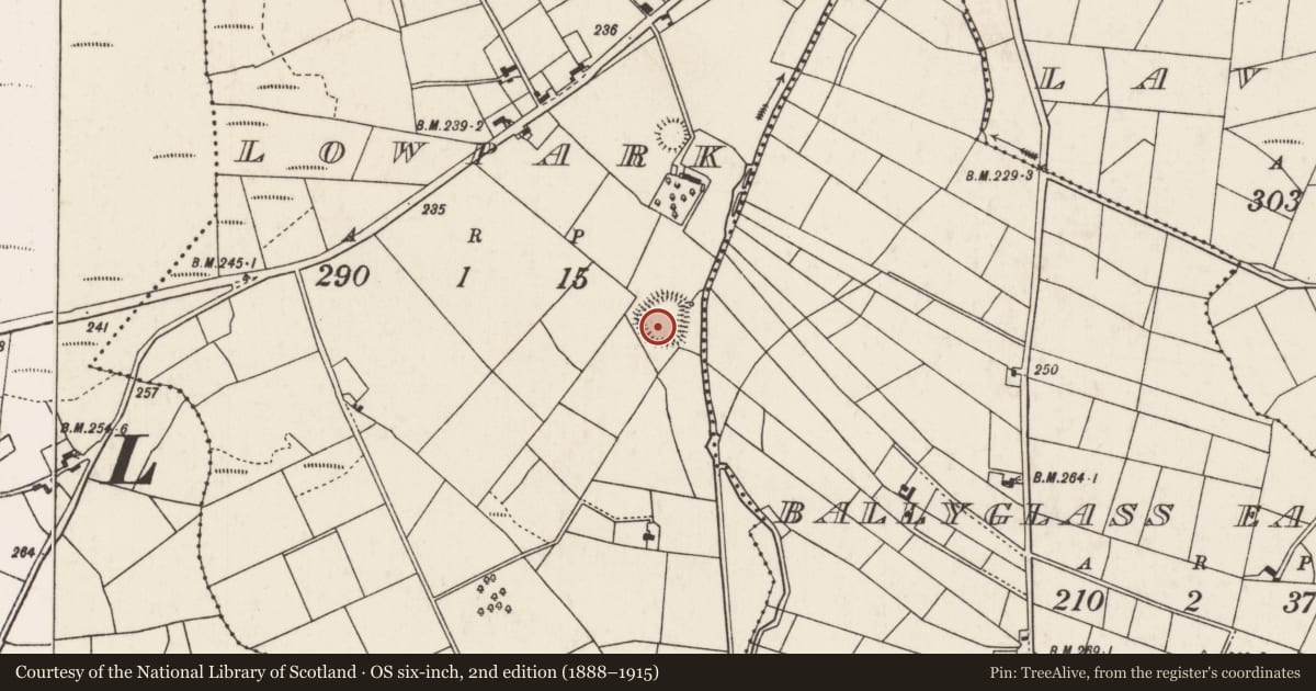 Ordnance Survey six-inch map, 2nd edition (1888–1915) covering the location of Ringfort - rath, Lowpark, County Mayo, with a pin at the register's coordinates