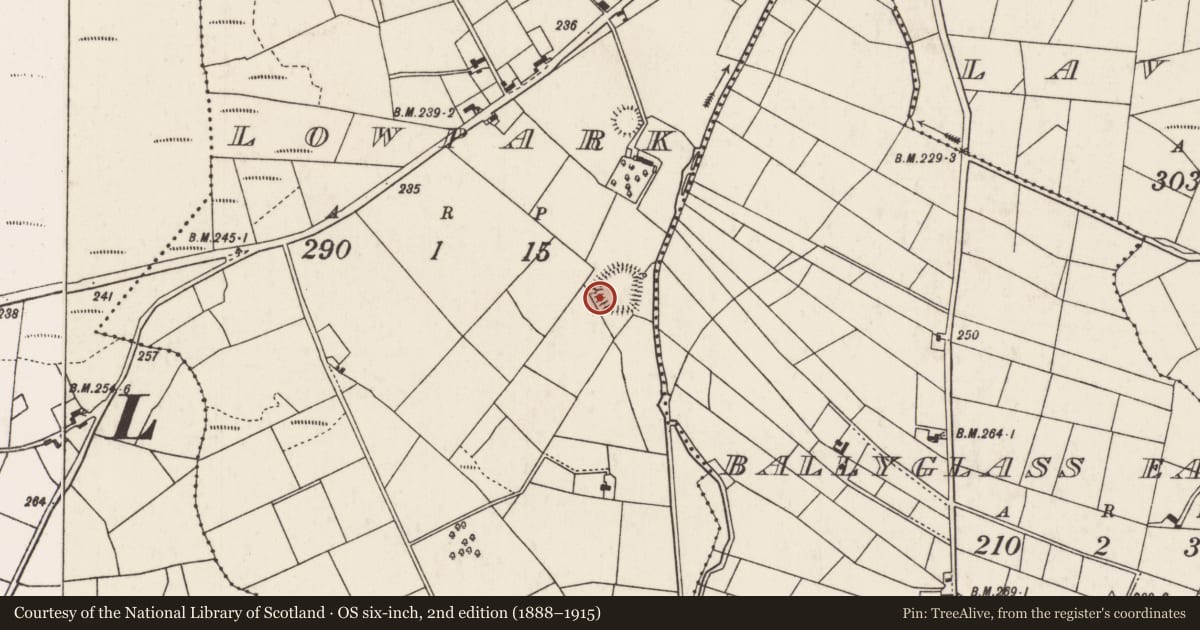 Ordnance Survey six-inch map, 2nd edition (1888–1915) covering the location of Souterrain, Lowpark, County Mayo, with a pin at the register's coordinates