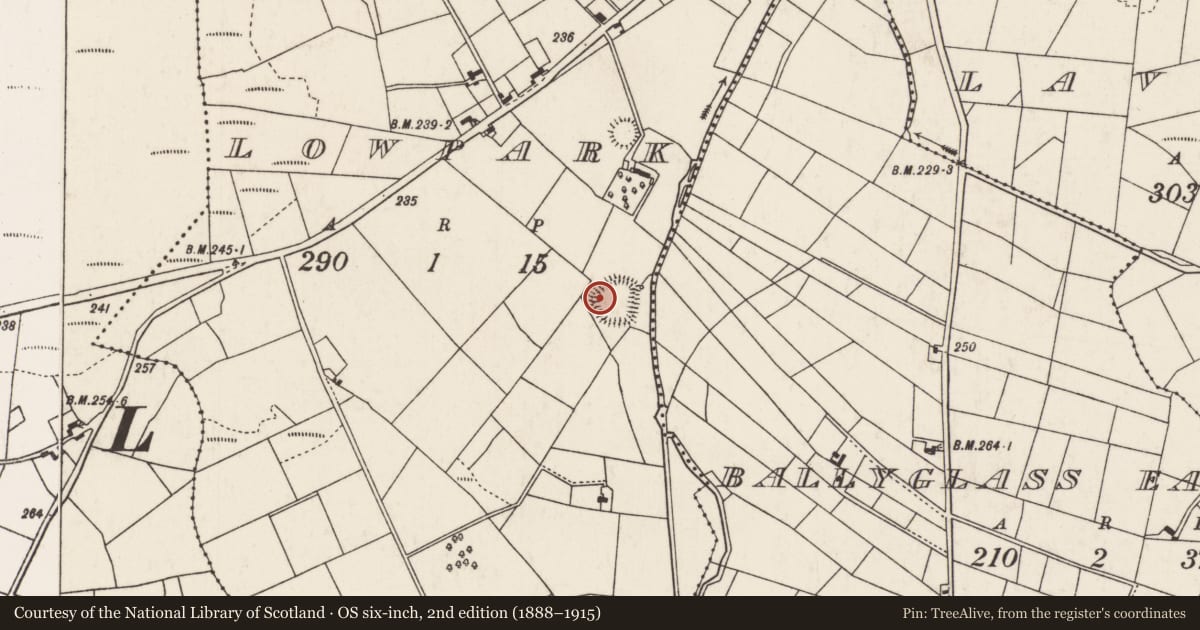 Ordnance Survey six-inch map, 2nd edition (1888–1915) covering the location of Children's burial ground, Lowpark, County Mayo, with a pin at the register's coordinates