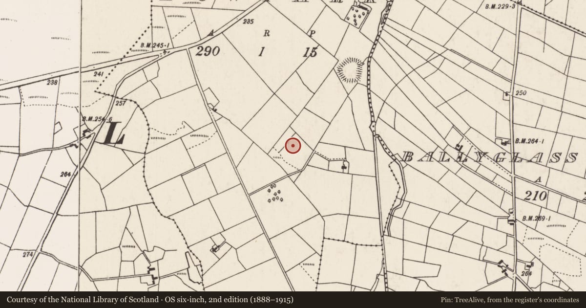 Ordnance Survey six-inch map, 2nd edition (1888–1915) covering the location of Ringfort - rath, Lowpark, County Mayo, with a pin at the register's coordinates