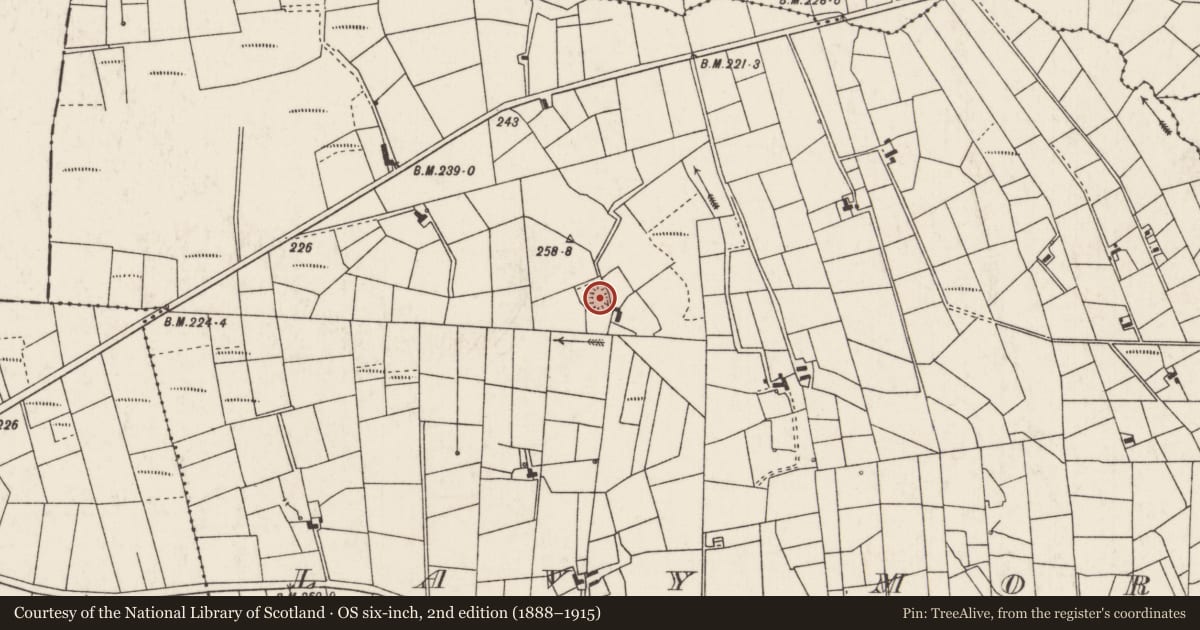 Ordnance Survey six-inch map, 2nd edition (1888–1915) covering the location of Ringfort - rath, Lavy More, County Mayo, with a pin at the register's coordinates