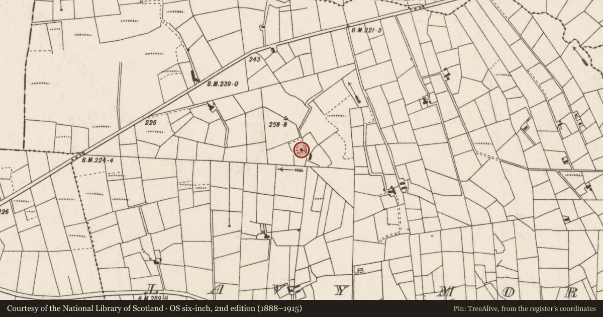 Ordnance Survey six-inch map, 2nd edition (1888–1915) covering the location of Children's burial ground, Lavy More, County Mayo, with a pin at the register's coordinates