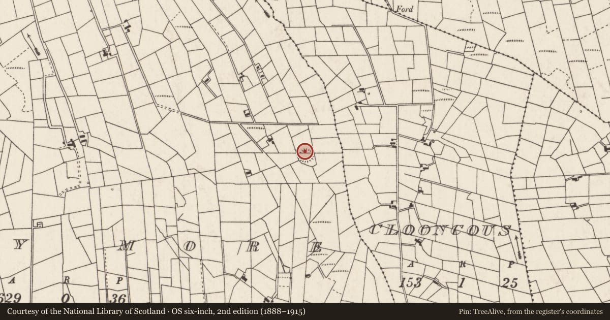 Ordnance Survey six-inch map, 2nd edition (1888–1915) covering the location of Children's burial ground, Lavy More, County Mayo, with a pin at the register's coordinates