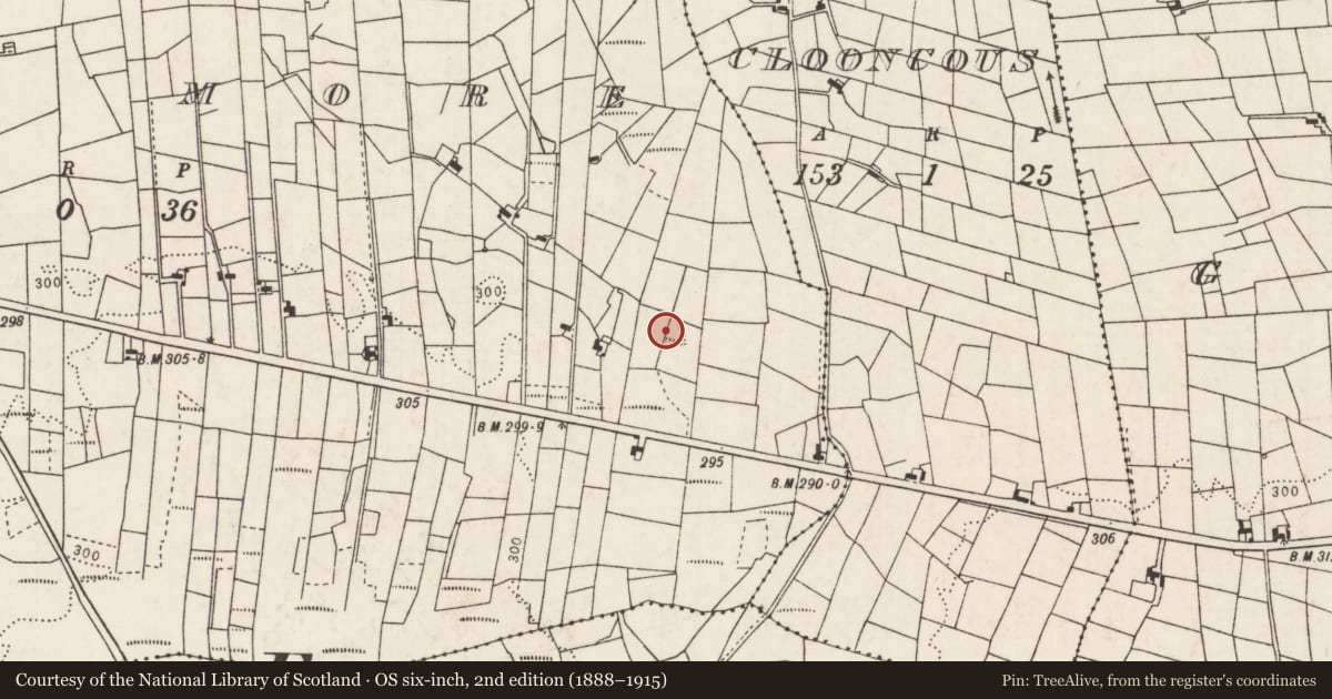 Ordnance Survey six-inch map, 2nd edition (1888–1915) covering the location of Enclosure, Lavy More, County Mayo, with a pin at the register's coordinates
