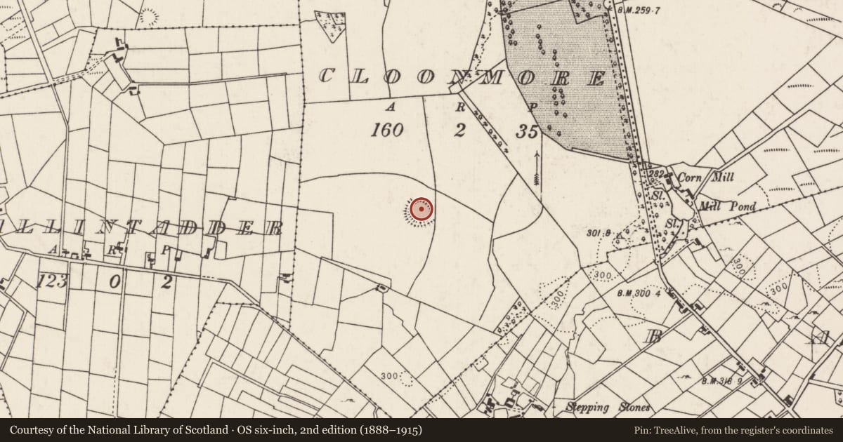 Ordnance Survey six-inch map, 2nd edition (1888–1915) covering the location of Ringfort - rath, Cloonmore, County Mayo, with a pin at the register's coordinates