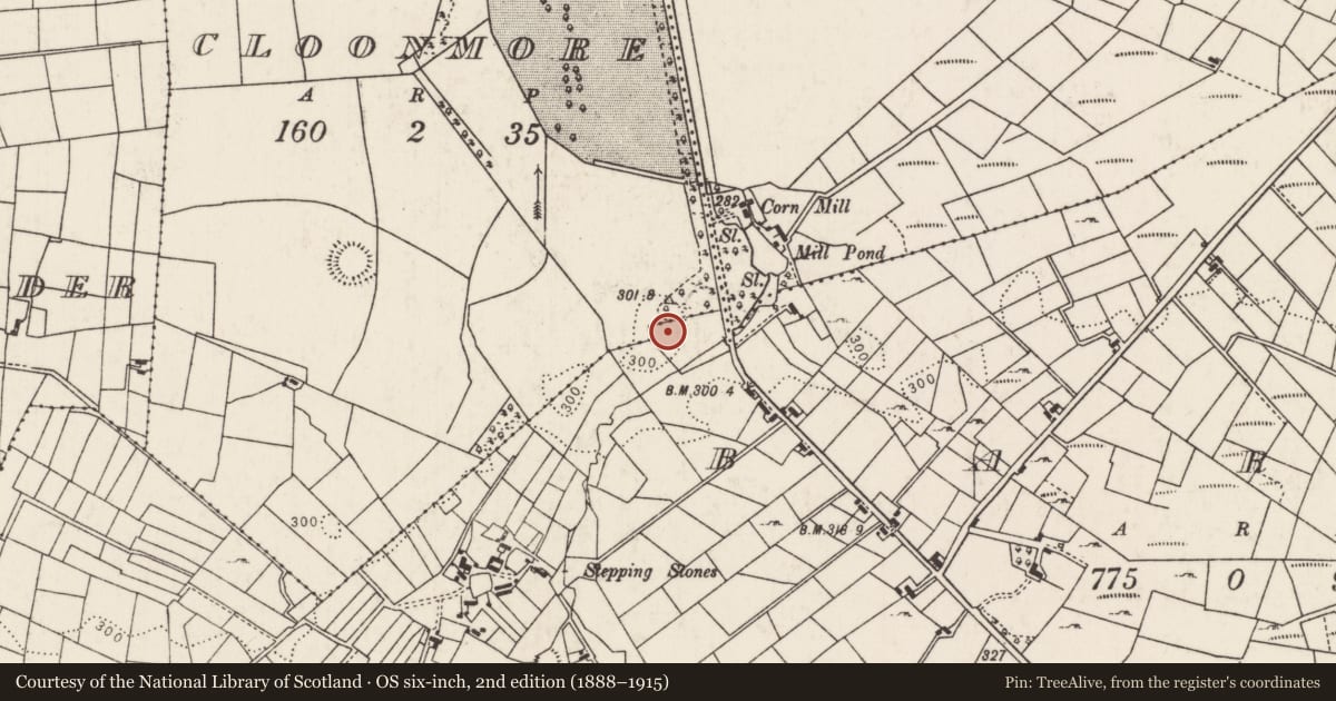Ordnance Survey six-inch map, 2nd edition (1888–1915) covering the location of Ringfort - rath, Barroe, County Mayo, with a pin at the register's coordinates