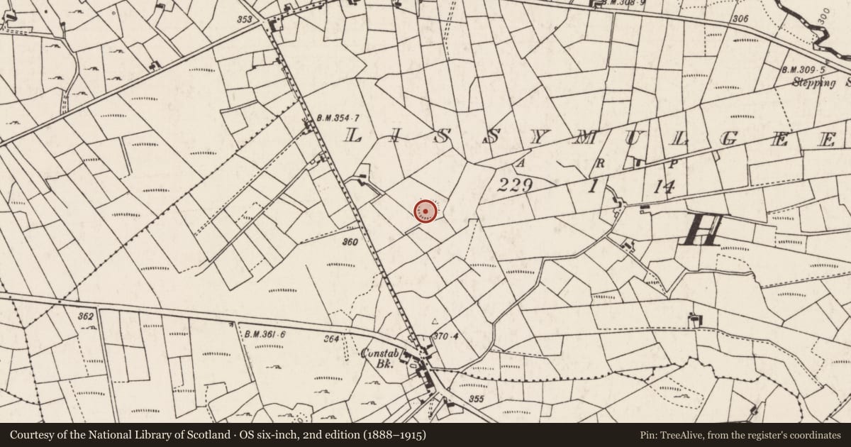 Ordnance Survey six-inch map, 2nd edition (1888–1915) covering the location of Ringfort - rath, Lissymulgee, County Mayo, with a pin at the register's coordinates